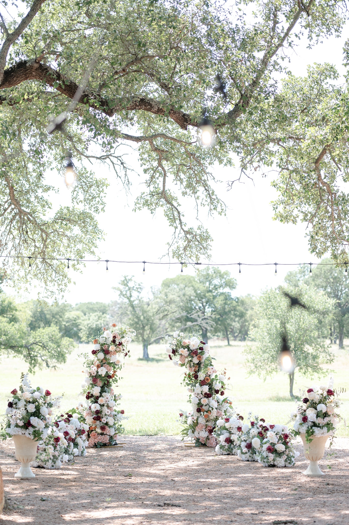 Vibrant Meadows Arch