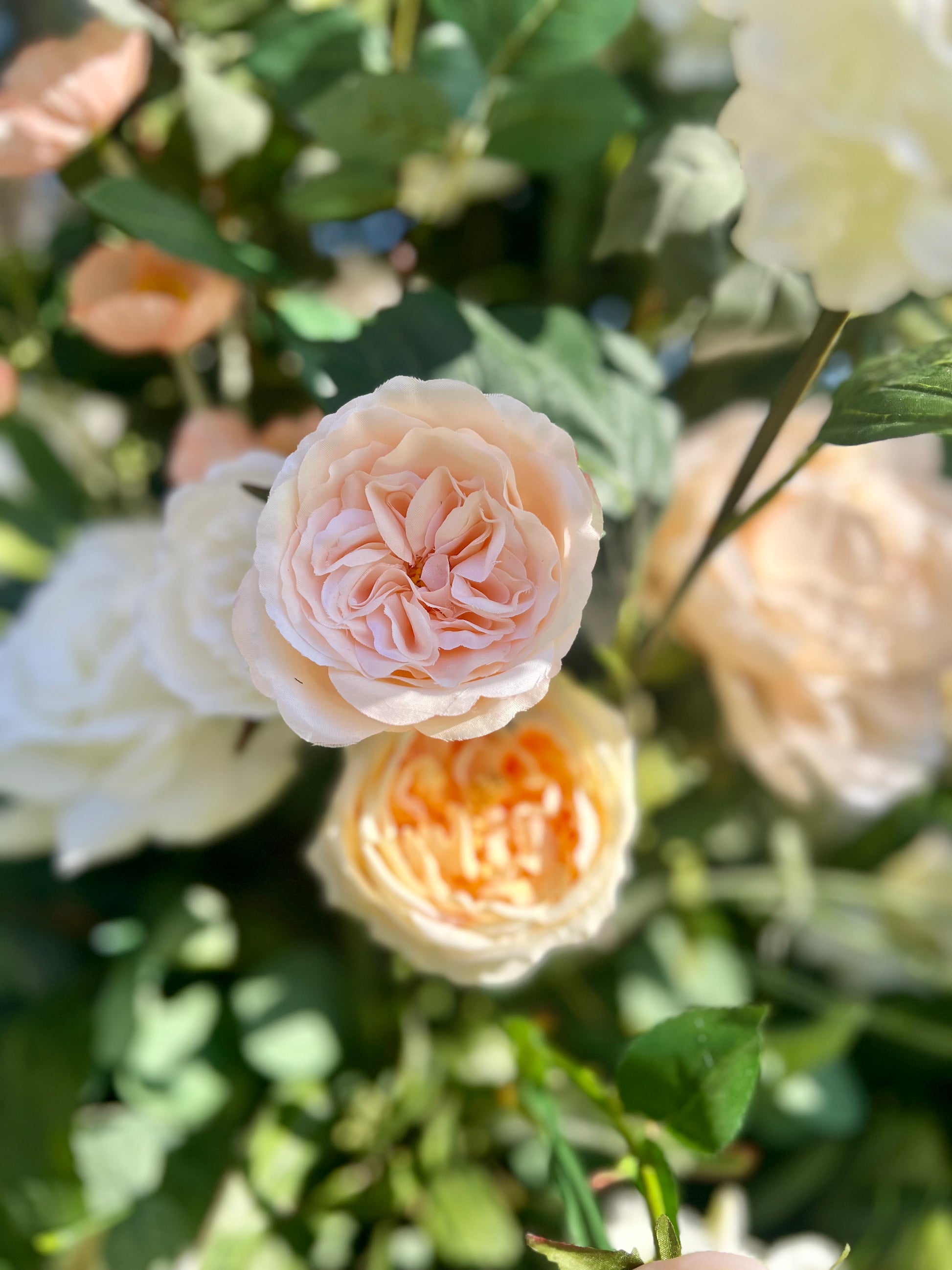 Close up of peach flowers 